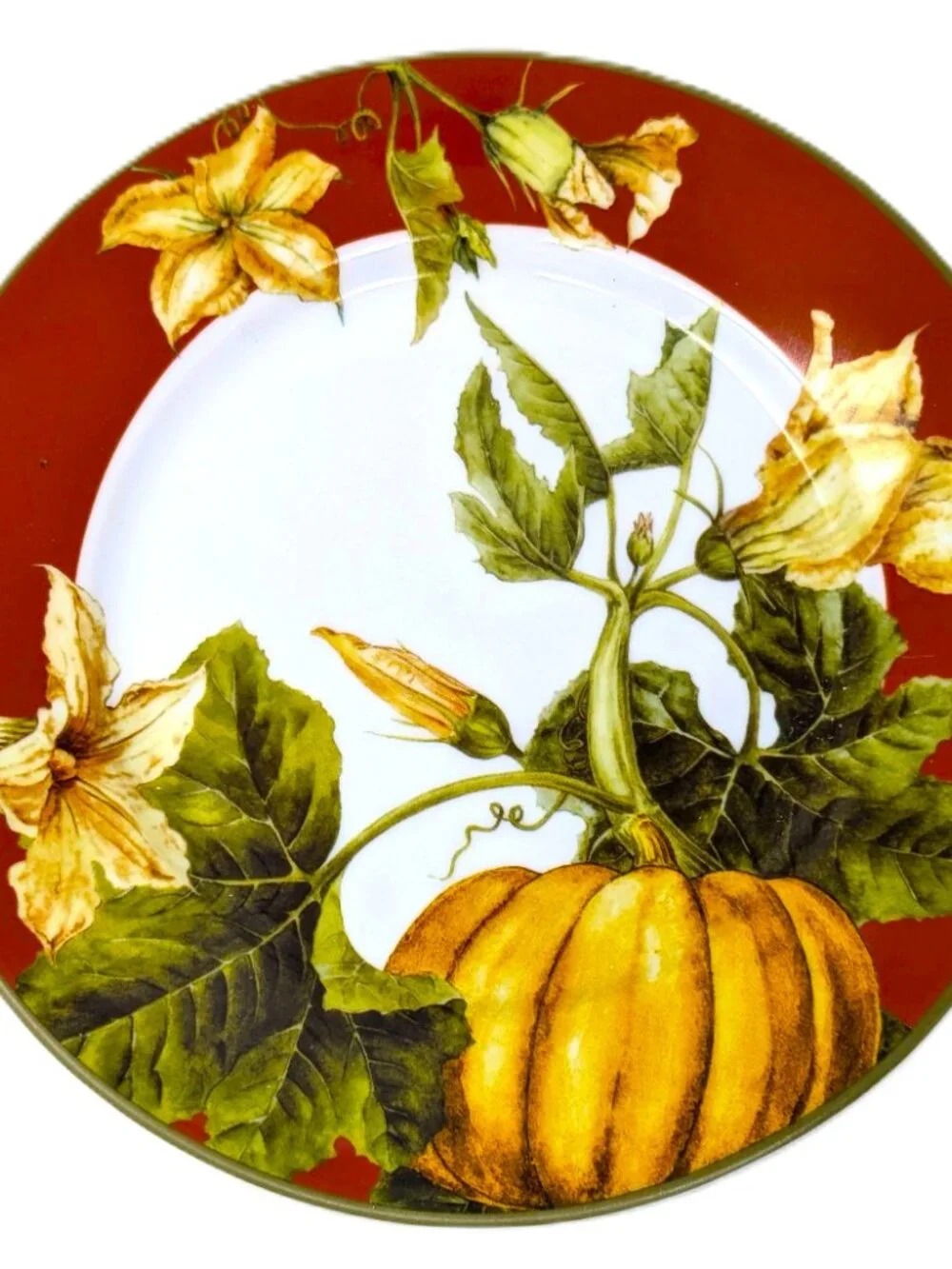 Williams Sonoma BOTANICAL PUMPKIN Salad Plates Set 5 Dark Red Fall 8 1/2